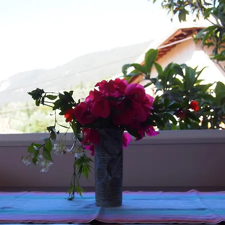 Eolos With Private Parking 公寓 *